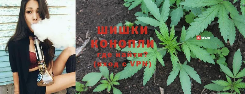 купить  цена  Тосно  Каннабис Ganja 